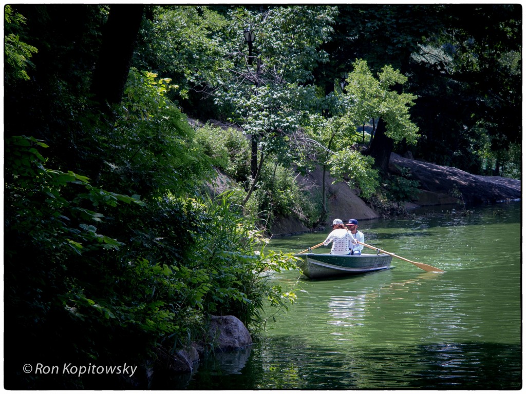 Summer in Central Park New York
